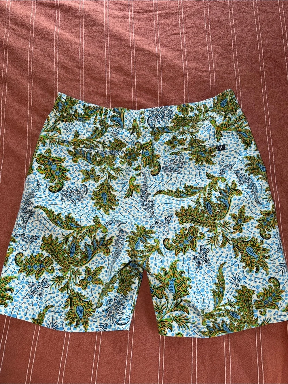 Men's Paisley Print Cotton Flat-Front Shorts in White and Green
